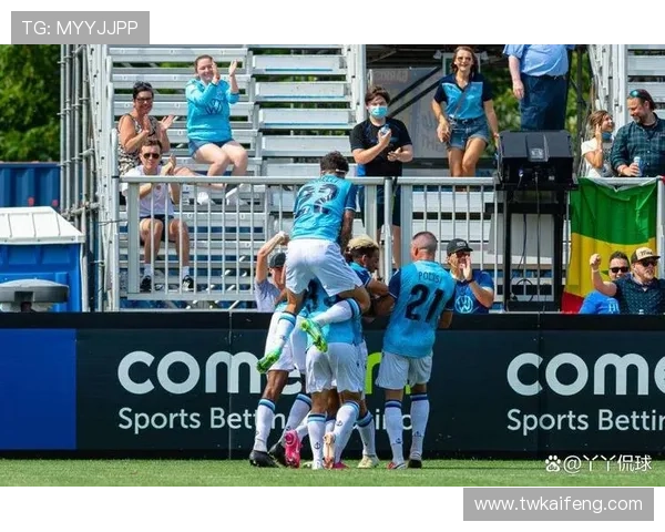 加拿大的体育联赛（加拿大体育项目）sports